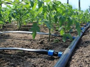 Современная система полива